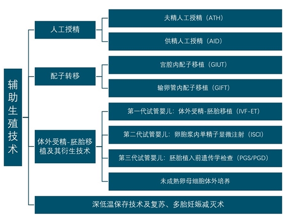 在马来西亚做供卵试管的必要性是什么？