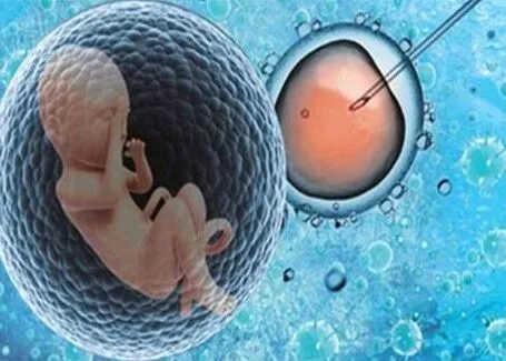 做供卵代怀代生移植后1-10天的感觉
