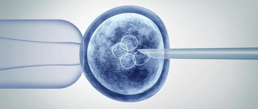 赠卵试管供卵代生会导致胎儿停育吗？