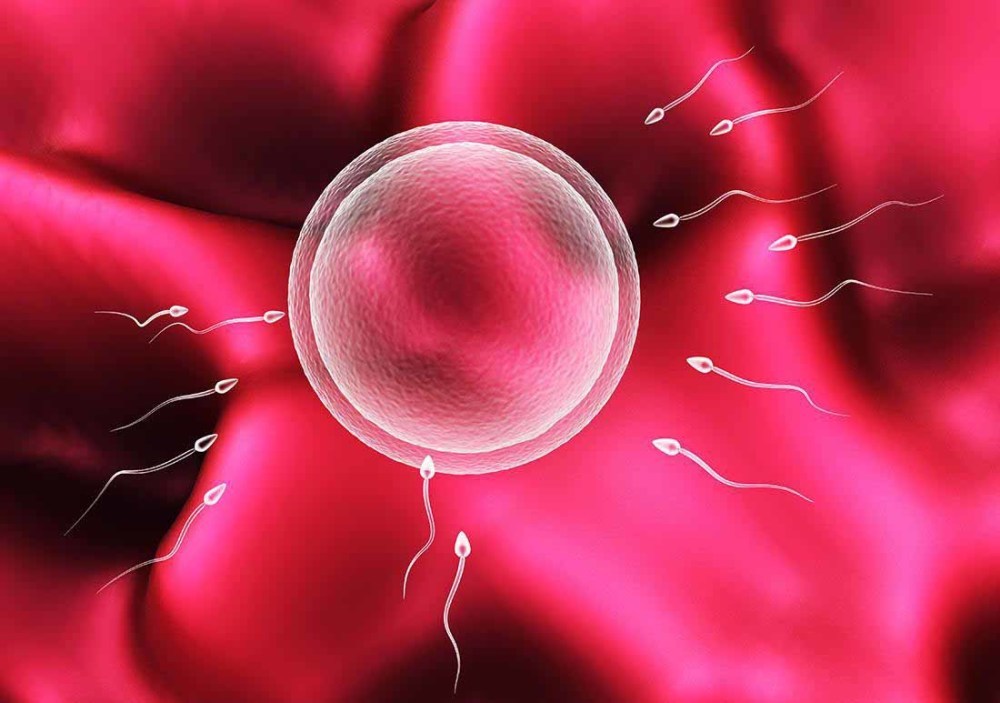 借卵代怀三代试管的过程是怎样的？
