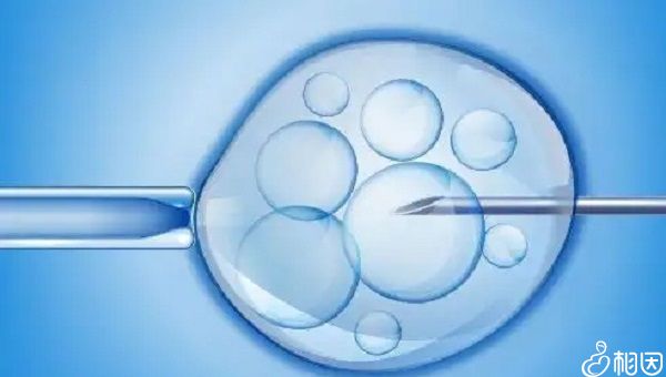 海宁二医院生殖中心有提供供卵技术吗